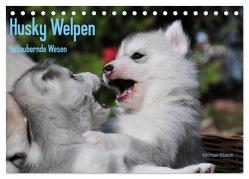 Husky Welpen (Tischkalender 2024 DIN A5 quer), CALVENDO Monatskalender von Ebardt,  Michael
