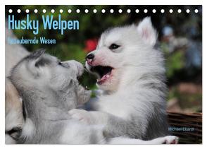 Husky Welpen (Tischkalender 2024 DIN A5 quer), CALVENDO Monatskalender von Ebardt,  Michael