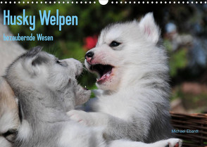 Husky Welpen (Wandkalender 2023 DIN A3 quer) von Ebardt,  Michael