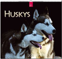 Huskys