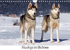 Huskys im Schnee (Wandkalender 2023 DIN A4 quer) von Zeller & Christian Kiedy,  Katrin