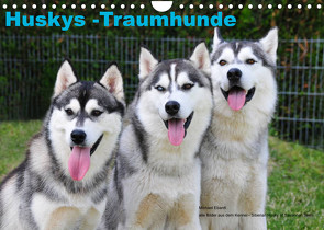 Huskys – Traumhunde (Wandkalender 2023 DIN A4 quer) von Ebardt,  Michael