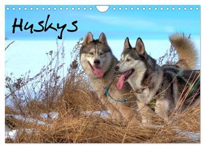 Huskys (Wandkalender 2024 DIN A4 quer), CALVENDO Monatskalender von Kalanke,  Jens