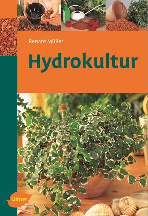 Hydrokultur von Müller,  Renate