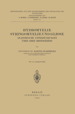 Hydromyelie Syringomyelie und Gliose von Bumke,  O., Foerster,  O., Rüdin,  E., Spatz,  H., Staemmler,  Martin