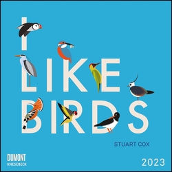 I Like Birds 2023 ‒ Broschürenkalender ‒ Illustriert von Stuart Cox ‒ internationales Kalendarium ‒ Format 30 x 30 cm von Cox,  Stuart
