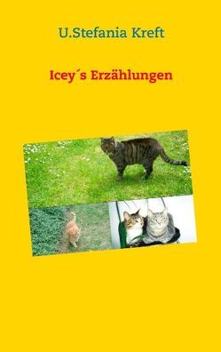 Icey´s Erzählungen von Kreft,  U.Stefania