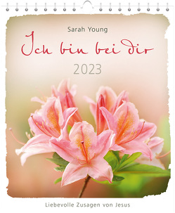 Ich bin bei dir 2023 – Postkartenkalender von Young,  Sarah