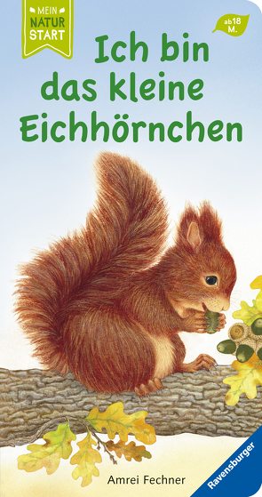 Ich bin das kleine Eichhörnchen von Fechner,  Amrei