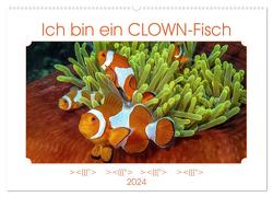 Ich bin ein CLOWN-Fisch (Wandkalender 2024 DIN A2 quer), CALVENDO Monatskalender von Gödecke,  Dieter