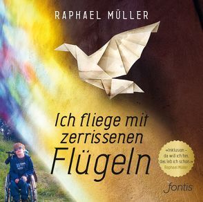 Ich fliege mit zerrissenen Flügeln von Müller,  Raphael