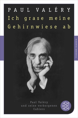 Ich grase meine Gehirnwiese ab von Stölzel,  Thomas, Valéry,  Paul