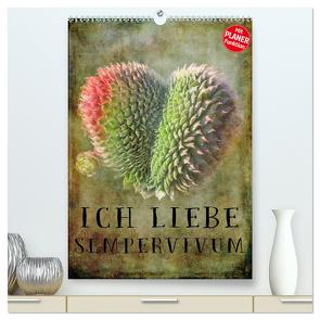 Ich liebe Sempervivum (hochwertiger Premium Wandkalender 2024 DIN A2 hoch), Kunstdruck in Hochglanz von Cross,  Martina