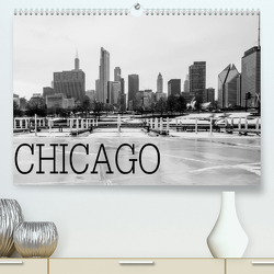 Icy Chicago (Premium, hochwertiger DIN A2 Wandkalender 2023, Kunstdruck in Hochglanz) von Stein,  David