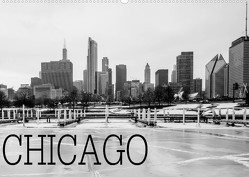 Icy Chicago (Wandkalender 2023 DIN A2 quer) von Stein,  David