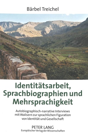 Identitätsarbeit, Sprachbiographien und Mehrsprachigkeit von Treichel,  Bärbel