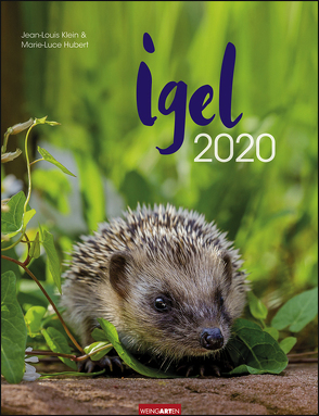 Igel Kalender 2020 von Weingarten