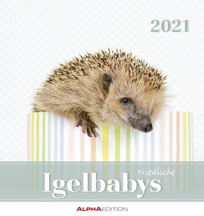 Igelbabys 2021 – Postkartenkalender 16×17 cm – Baby Hedgehogs – zum aufstellen oder aufhängen – Geschenk-Idee – Tierkalender – Gadget