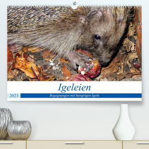 Igeleien – Begegnungen mit hungrigen Igeln (Premium, hochwertiger DIN A2 Wandkalender 2023, Kunstdruck in Hochglanz) von von Loewis of Menar,  Henning