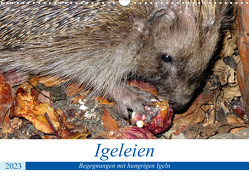 Igeleien – Begegnungen mit hungrigen Igeln (Wandkalender 2023 DIN A3 quer) von von Loewis of Menar,  Henning