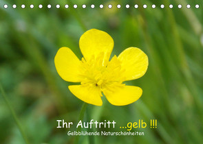 Ihr Auftritt…gelb !!! Gelbblühende Naturschönheiten (Tischkalender 2022 DIN A5 quer) von Sokoll,  Stephanie