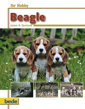 Ihr Hobby Beagle von Eberhardt,  Jochen H.