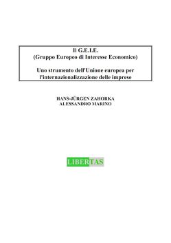 Il G.E.I.E. (Gruppo Europeo di Interesse Economico) von Marino,  Alessandro, Zahorka,  Hans J