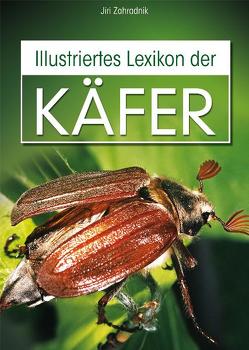 Illustriertes Lexikon der Käfer von Ostmeyer,  Jürgen, Zahradnik,  Jiri