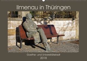 Ilmenau in Thüringen. Goethe- und Universitätsstadt (Wandkalender 2018 DIN A2 quer) von Flori0