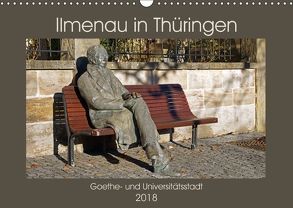 Ilmenau in Thüringen. Goethe- und Universitätsstadt (Wandkalender 2018 DIN A3 quer) von Flori0
