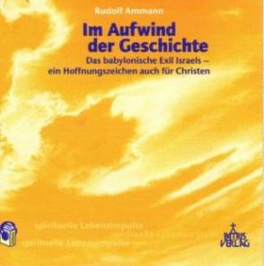 Im Aufwind der Geschichte von Ammann,  Rudolf