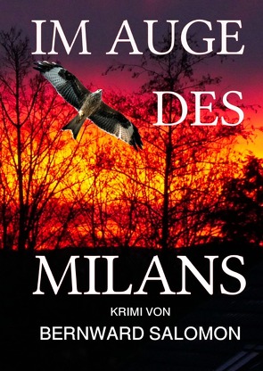 Im Auge des Milans von Salomon,  Bernward