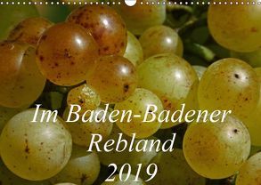 Im Baden-Badener Rebland 2019 (Wandkalender 2019 DIN A3 quer) von Stolzenburg,  Kerstin