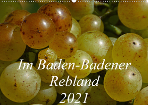 Im Baden-Badener Rebland 2021 (Wandkalender 2021 DIN A2 quer) von Stolzenburg,  Kerstin