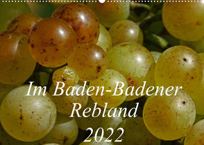 Im Baden-Badener Rebland 2022 (Wandkalender 2022 DIN A2 quer) von Stolzenburg,  Kerstin