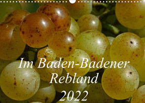 Im Baden-Badener Rebland 2022 (Wandkalender 2022 DIN A3 quer) von Stolzenburg,  Kerstin