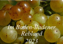 Im Baden-Badener Rebland 2023 (Wandkalender 2023 DIN A2 quer) von Stolzenburg,  Kerstin