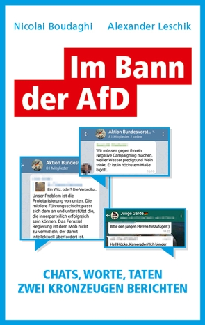 Im Bann der AfD von Boudaghi,  Nicolai, Leschik,  Alexander, Löer,  Wigbert