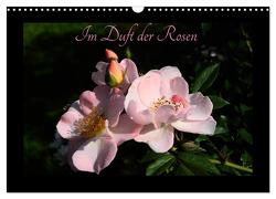 Im Duft der Rosen (Wandkalender 2024 DIN A3 quer), CALVENDO Monatskalender von Saal,  Heribert