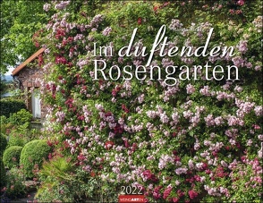 Im duftenden Rosengarten Kalender 2022 von Nickig,  Marion, Weingarten