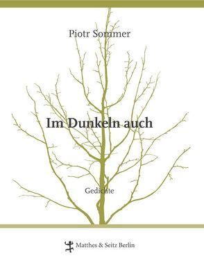 Im Dunkeln auch von Schmidgall,  Renate, Sommer,  Piotr