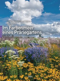 Im Farbenmeer eines Präriegartens von Bieker,  Josef, Pot,  Lianne, Romeis,  Ulrike