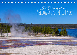 Im Farbenspiel des Yellowstone Natl. Park (Tischkalender immerwährend DIN A5 quer) von Drafz,  Silvia