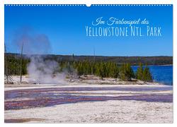 Im Farbenspiel des Yellowstone Natl. Park (Wandkalender 2024 DIN A2 quer), CALVENDO Monatskalender von Drafz,  Silvia