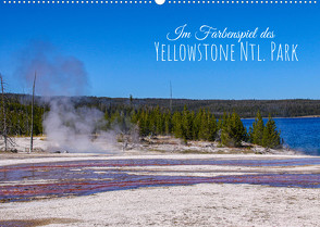 Im Farbenspiel des Yellowstone Natl. Park (Wandkalender immerwährend DIN A2 quer) von Drafz,  Silvia