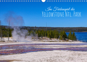 Im Farbenspiel des Yellowstone Natl. Park (Wandkalender immerwährend DIN A3 quer) von Drafz,  Silvia