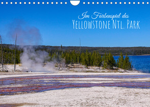 Im Farbenspiel des Yellowstone Natl. Park (Wandkalender immerwährend DIN A4 quer) von Drafz,  Silvia