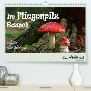 Im Fliegenpilz Rausch (hochwertiger Premium Wandkalender 2024 DIN A2 quer), Kunstdruck in Hochglanz von Wittbrock,  Uwe