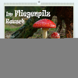 Im Fliegenpilz Rausch (Premium, hochwertiger DIN A2 Wandkalender 2024, Kunstdruck in Hochglanz) von Wittbrock,  Uwe