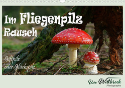Im Fliegenpilz Rausch (Wandkalender 2024 DIN A3 quer) von Wittbrock,  Uwe